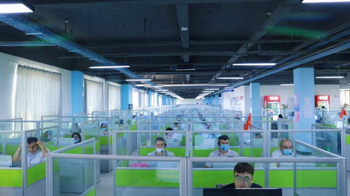 点赞金山 集聚万企，网络技术服务辐射全国，援疆行动展现担当