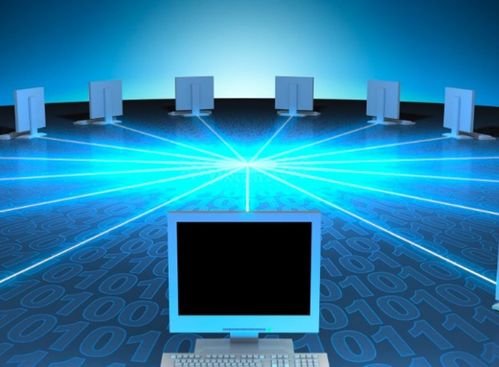 大专是否有计算机科学与技术专业及其在上海企业网络技术服务领域的应用前景